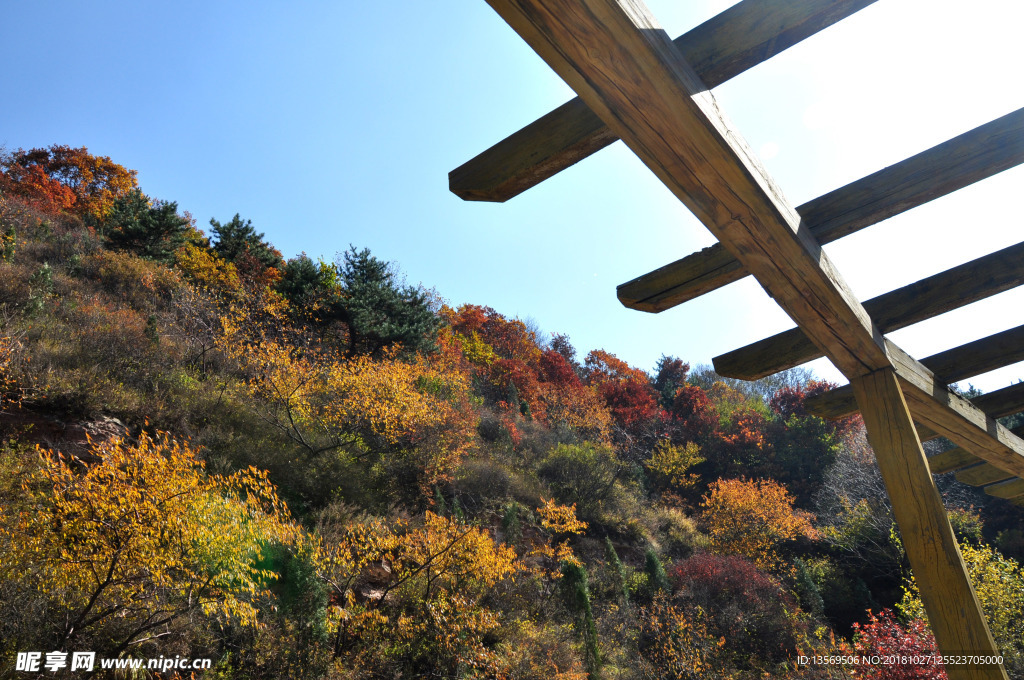 秋天景色红叶黄叶