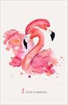 火烈鸟