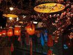 意境夜晚