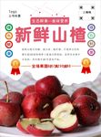 山楂海报