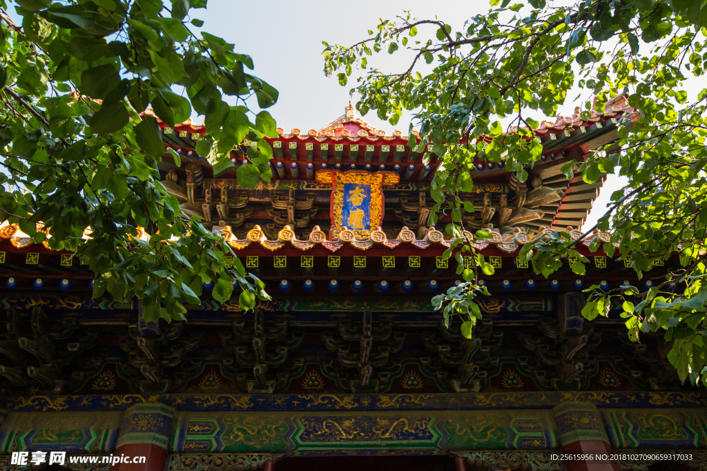 孔庙