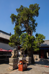 孔府