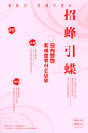 招蜂引蝶