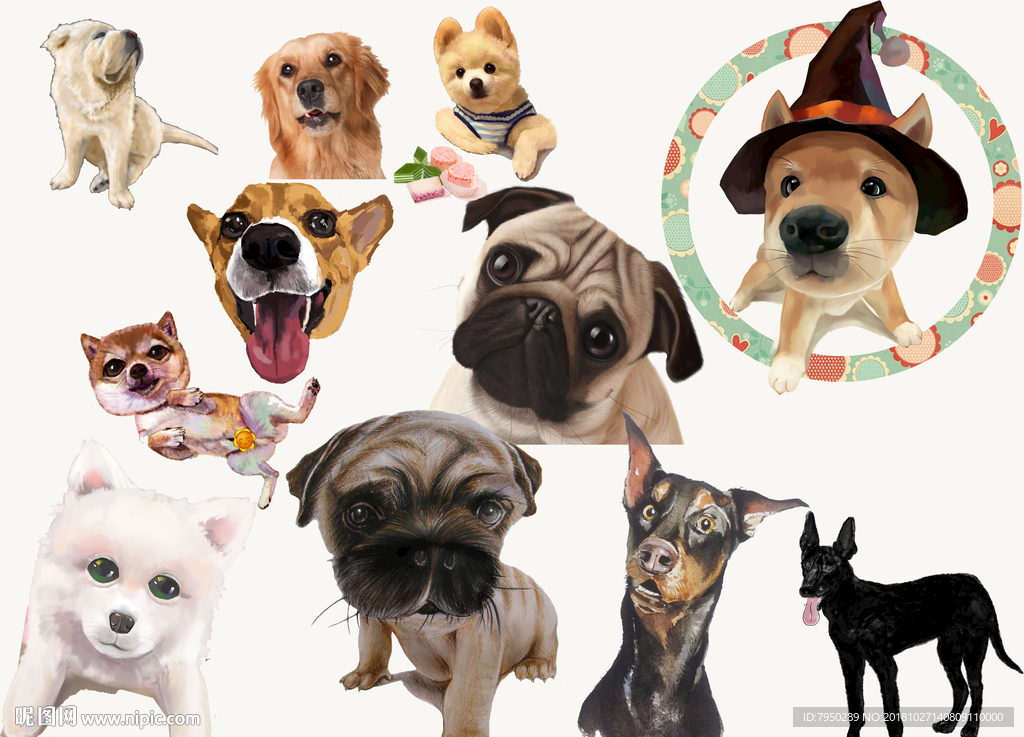 宠物狗狗背景墙