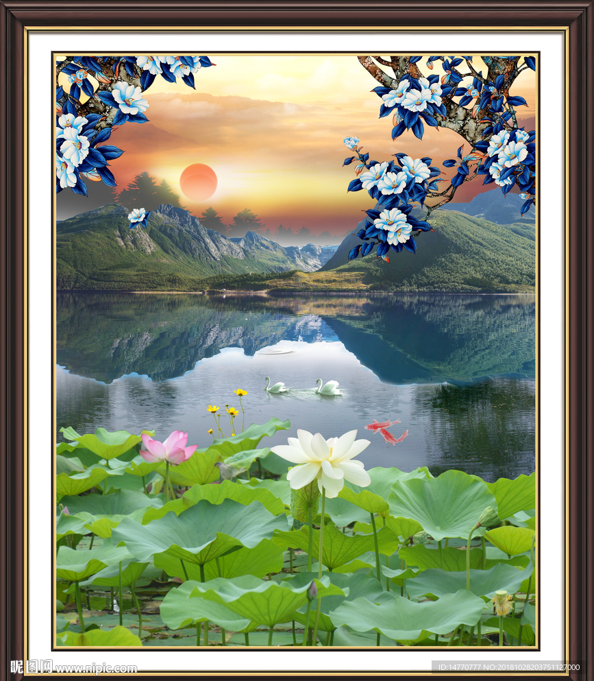 荷花风景