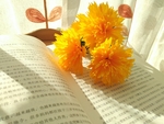 手工折纸鲜花惬意黄菊花图片