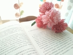 手工折纸鲜花惬意康乃馨场景搭配