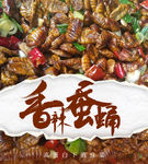 香辣蚕蛹 下酒菜 高蛋白 DM
