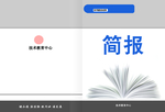 简报