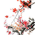 梅花