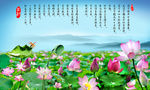 荷花素材