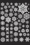 雪花
