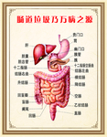 肠道图