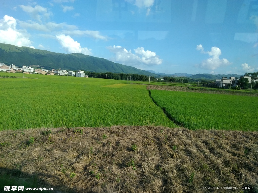 乡村田野