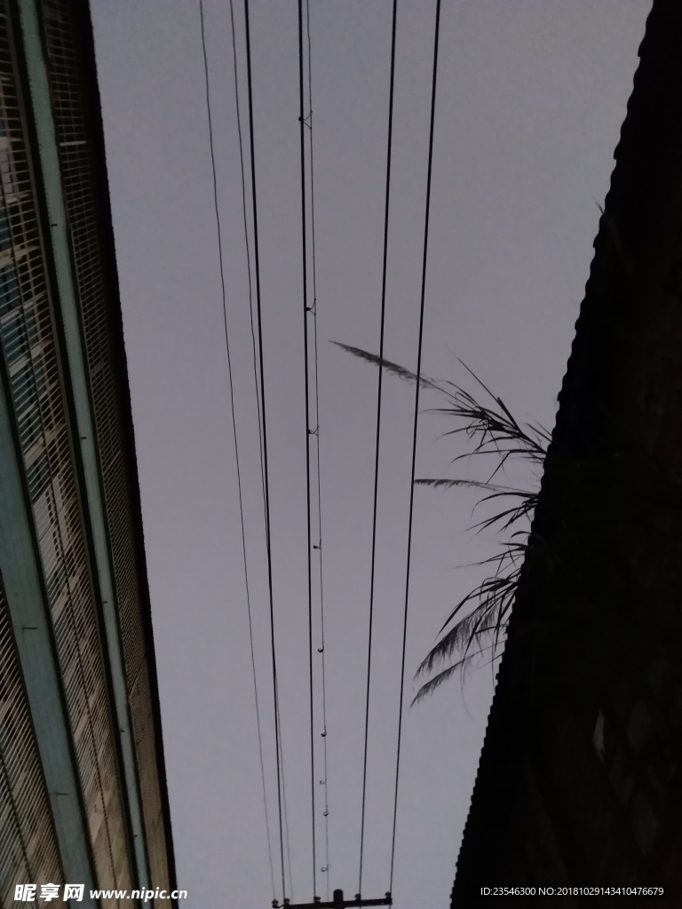 天空中的电线