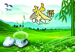 茶海报