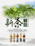 新茶上市