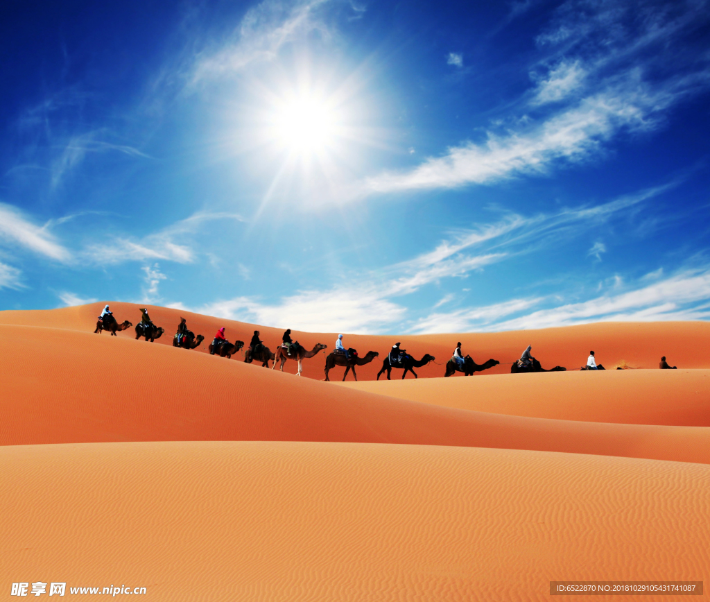 蓝天下沙漠中的驼队
