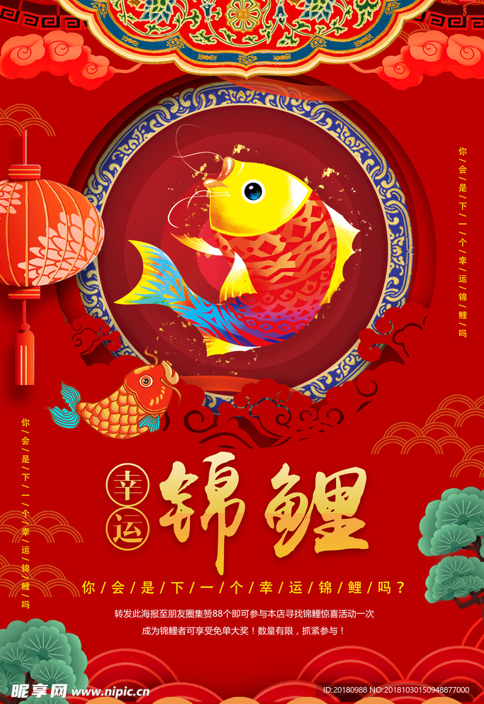 锦鲤