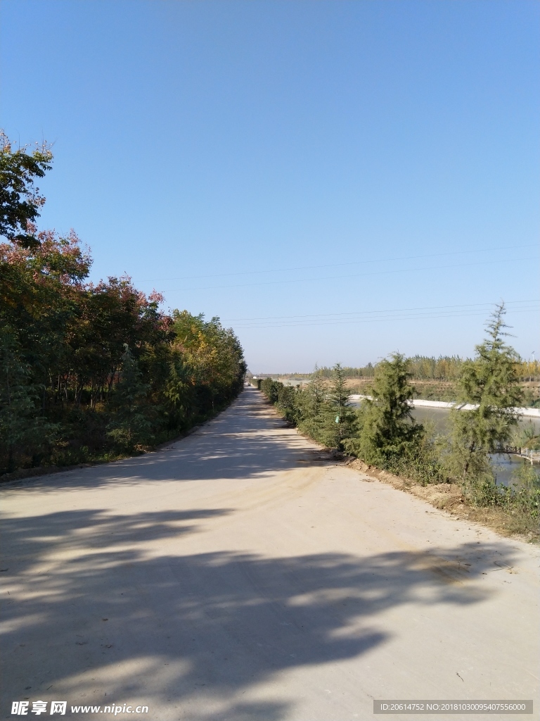 乡村道路风景