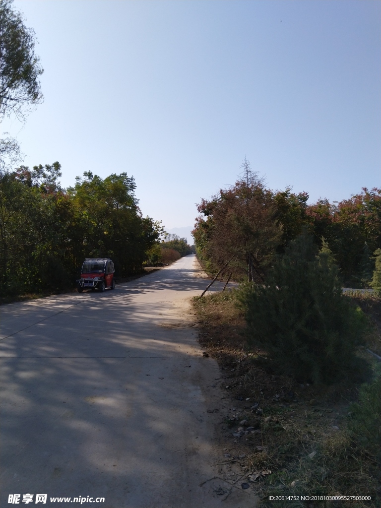 乡村道路风景