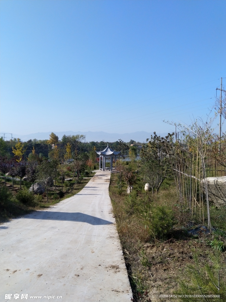 乡村道路风景
