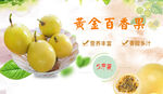 黄金百香果banner图