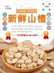 开心果海报