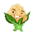 卡通花菜