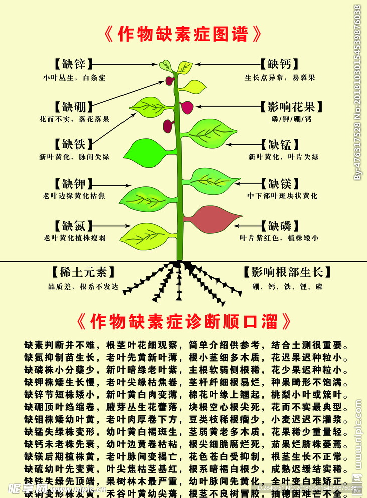 作物缺素症图谱