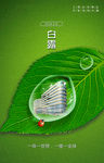 二十四节气 白露