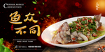鱼众不同
