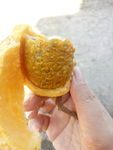 拿藤包