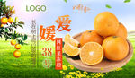 爱媛38号banner图