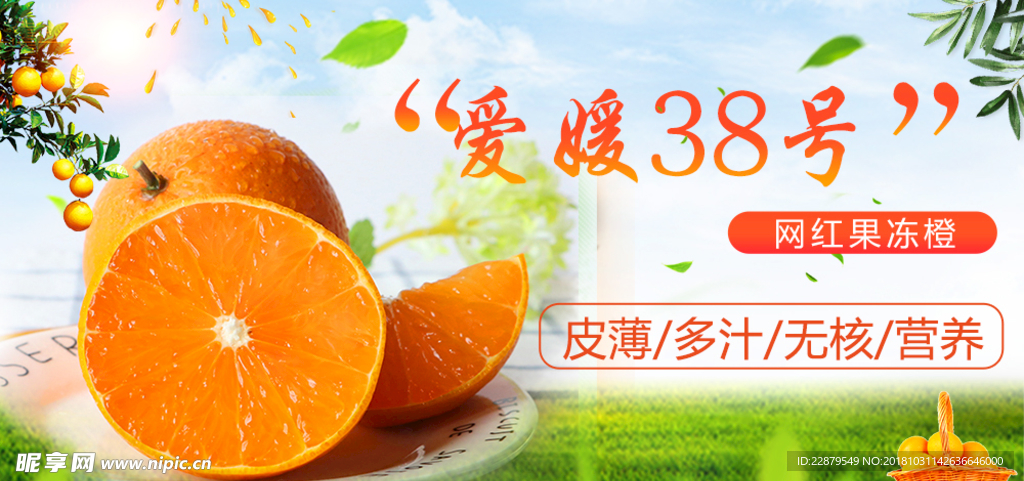 爱媛38号果冻橙banner