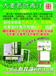 大麦若叶青汁