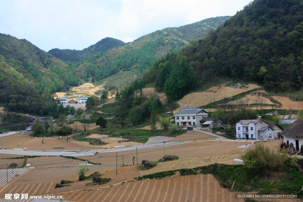 田园风景