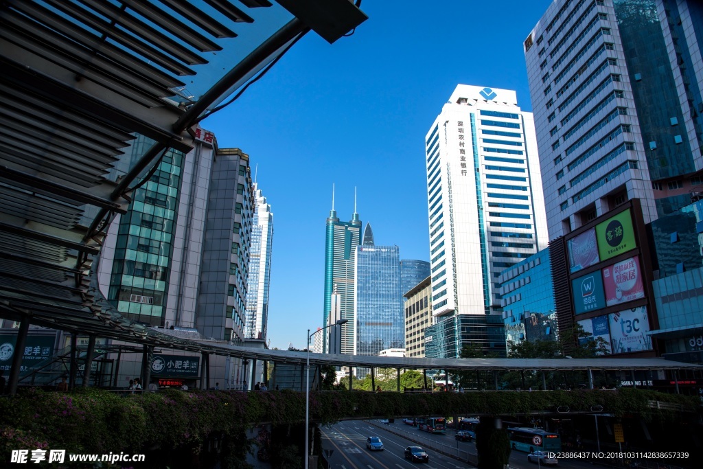 深南东路街景