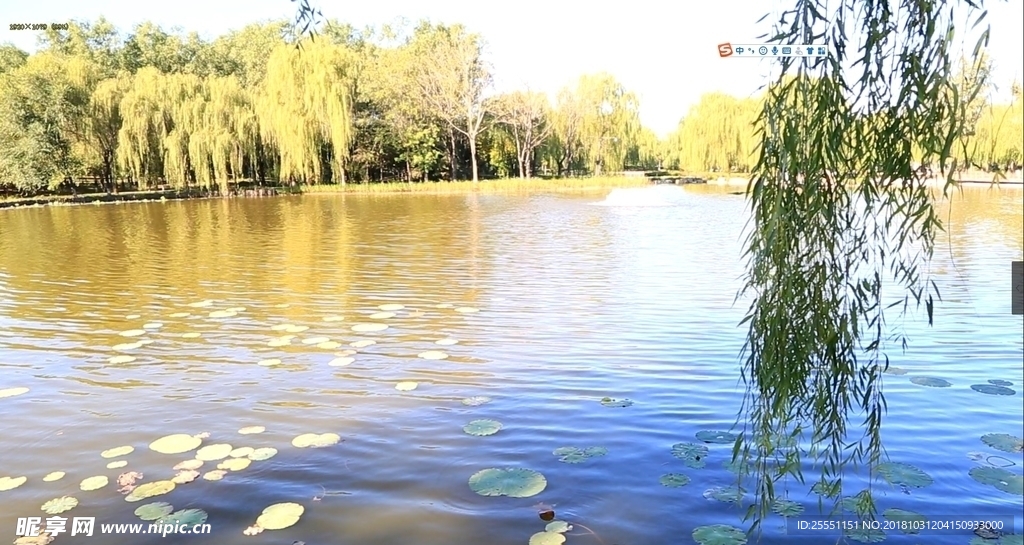 湖面高清动态视频