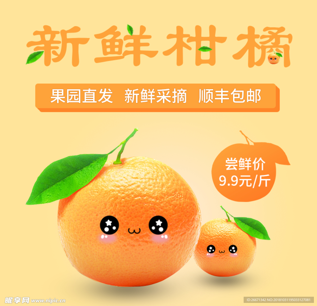 橘子  新鲜柑橘