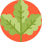 植物叶子