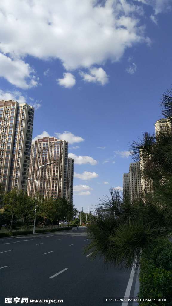 马路