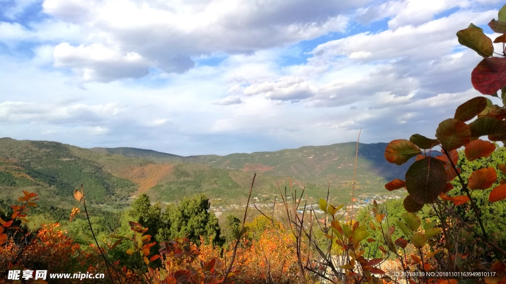 香山红叶 风景照片 风光景色