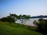 河边 小河