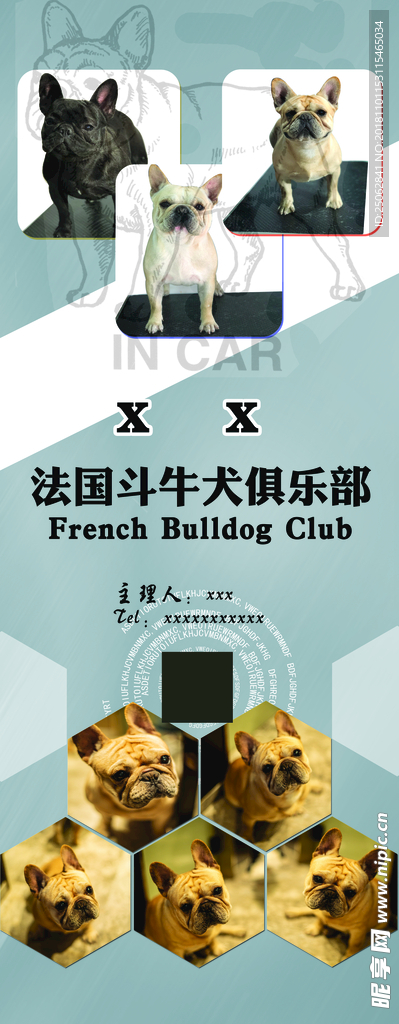 宠物易拉宝