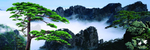 最美黄山