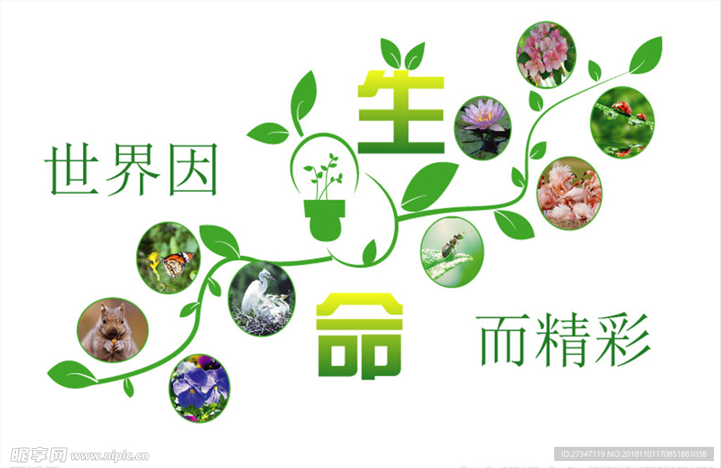 生命阶梯墙