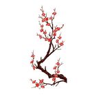 梅花素材