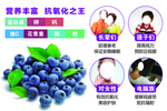 蓝莓