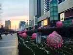 万达夜景